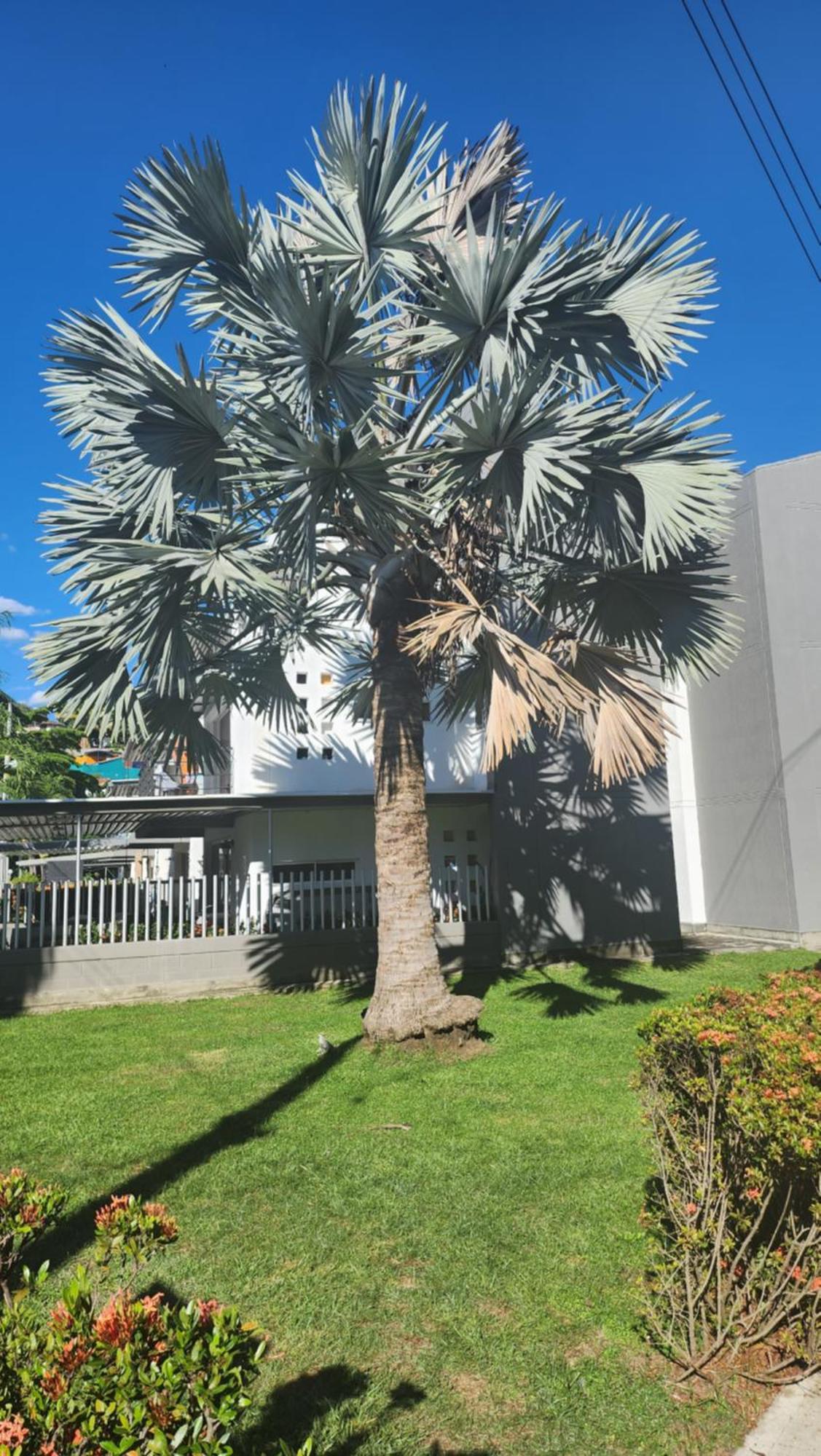 Apartasol Club Ciudadela Santa Fe - Santa Fe De Antioquia Ngoại thất bức ảnh